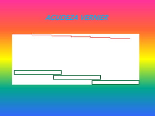 AGUDEZA VERNIER