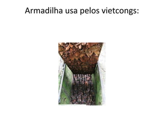Armadilha usa pelos vietcongs:
 