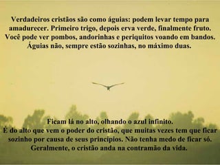 Verdadeiros cristãos são como águias: podem levar tempo para amadurecer. Primeiro trigo, depois erva verde, finalmente fruto. Você pode ver pombos, andorinhas e periquitos voando em bandos. Águias não, sempre estão sozinhas, no máximo duas.  Ficam lá no alto, olhando o azul infinito. É do alto que vem o poder do cristão, que muitas vezes tem que ficar sozinho por causa de seus princípios. Não tenha medo de ficar só. Geralmente, o cristão anda na contramão da vida.  