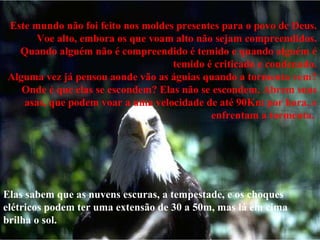 Este mundo não foi feito nos moldes presentes para o povo de Deus. Voe alto, embora os que voam alto não sejam compreendidos. Quando alguém não é compreendido é temido e quando alguém é temido é criticado e condenado. Alguma vez já pensou aonde vão as águias quando a tormenta vem? Onde é que elas se escondem? Elas não se escondem. Abrem suas asas, que podem voar a uma velocidade de até 90Km por hora, e enfrentam a tormenta.  Elas sabem que as nuvens escuras, a tempestade, e os choques elétricos podem ter uma extensão de 30 a 50m, mas lá em cima brilha o sol. 