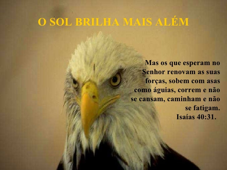 Aguia