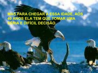 MAS PARA CHEGAR A ESSA IDADE, AOS
40 ANOS ELA TEM QUE TOMAR UMA
SÉRIA E DIFÍCIL DECISÃO.

 