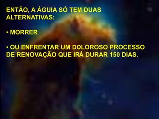 ENTÃO, A ÁGUIA SÓ TEM DUAS
ALTERNATIVAS:
• MORRER
• OU ENFRENTAR UM DOLOROSO PROCESSO
DE RENOVAÇÃO QUE IRÁ DURAR 150 DIAS.

 