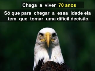 Só que para chegar a essa idade ela
tem que tomar uma difícil decisão.
Chega a viver 70 anos
 
