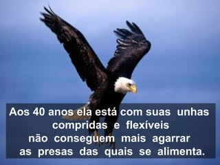 Aos 40 anos ela está com suas unhas
compridas e flexíveis
não conseguem mais agarrar
as presas das quais se alimenta.
 
