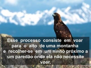 Esse processo consiste em voar
para o alto de uma montanha
e recolher-se em um ninho próximo a
um paredão onde ela não necessite
voar.
 