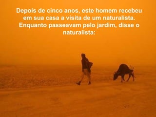 Depois de cinco anos, este homem recebeu 
em sua casa a visita de um naturalista. 
Enquanto passeavam pelo jardim, disse o 
naturalista: 
 