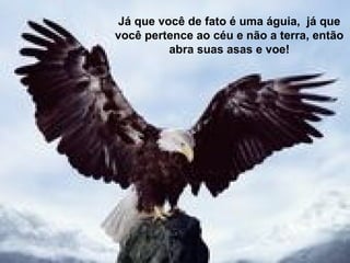 Já que você de fato é uma águia, já que 
você pertence ao céu e não a terra, então 
abra suas asas e voe! 
 