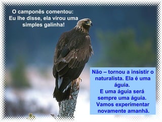 O camponês comentou: 
Eu lhe disse, ela virou uma 
simples galinha! 
Não – tornou a insistir o 
naturalista. Ela é uma 
águia. 
E uma águia será 
sempre uma águia. 
Vamos experimentar 
novamente amanhã. 
 