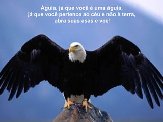 Águia, já que você é uma águia, 
já que você pertence ao céu e não à terra, 
abra suas asas e voe! 
 