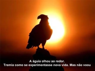 A águia olhou ao redor. 
Tremia como se experimentasse nova vida. Mas não voou. 
 