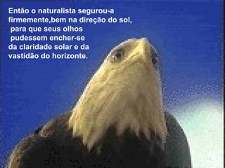 Então o naturalista segurou-a 
firmemente,bem na direção do sol, 
para que seus olhos 
pudessem encher-se 
da claridade solar e da 
vastidão do horizonte. 
 