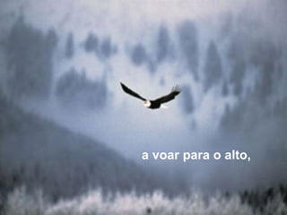 a voar para o alto, 
 