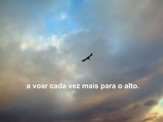a voar cada vez mais para o alto. 
 