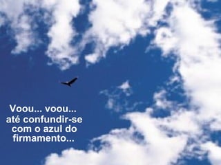 Voou... voou... 
até confundir-se 
com o azul do 
firmamento... 
 