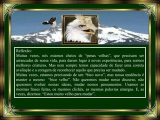 Reflexão:
Muitas vezes, nós estamos cheios de “penas velhas”, que precisam ser
arrancadas de nossa vida, para darem lugar à novas experiências, para sermos
melhores criaturas. Mas nem sempre temos capacidade de fazer uma correta
avaliação e a coragem de reconhecer aquilo que precisa ser mudado.
Muitas vezes, estamos precisando de um “bico novo”, mas nossa tendência é
manter o mesmo “bico velho”. Não queremos mudar nosso discurso, não
queremos evoluir nossas ideias, mudar nossos pensamentos. Usamos as
mesmas frases feitas, os mesmos clichês, as mesmas palavras amargas. E, as
vezes, dizemos: “Estou muito velho para mudar”.
 