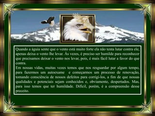 Quando a águia sente que o vento está muito forte ela não tenta lutar contra ele,
apenas deixa o vento lhe levar. Às vezes, é preciso ser humilde para reconhecer
que precisamos deixar o vento nos levar, pois, é mais fácil lutar a favor do que
contra.
Em nossas vidas, muitas vezes temos que nos resguardar por algum tempo,
para fazermos um autoexame e começarmos um processo de renovação,
tomando consciência de nossos defeitos para corrigi-los, a fim de que nossas
qualidades e potenciais sejam conhecidos e, obviamente, despertados. Mas,
para isso temos que ter humildade. Difícil, porém, é a compreensão desse
preceito.
 