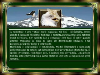 A humildade é uma virtude muito esquecida por nós. Infelizmente, temos
grande dificuldade em sermos humildes o bastante, para fazermos essa reforma
moral necessária. Ser humilde não é concordar com tudo. É saber quando
estamos precisando da ajuda do vento em determinadas situações, e ter
paciência de esperar passar a tempestade.
Humildade é simplicidade, é naturalidade. Muitos interpretam a humildade
como frouxidão de caráter. Ser humilde não é ser covarde; não é humilhar-se. É
apenas ser simples. Humildade, pois, é ausência total de vaidade. Uma pessoa
humilde está sempre disposta a deixar brotar no solo fértil do seu coração a boa
semente.
 