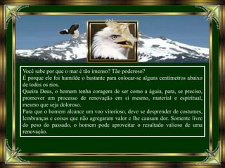 Você sabe por que o mar é tão imenso? Tão poderoso?
É porque ele foi humilde o bastante para colocar-se alguns centímetros abaixo
de todos os rios.
Queira Deus, o homem tenha coragem de ser como a águia, para, se preciso,
promover um processo de renovação em si mesmo, material e espiritual,
mesmo que seja doloroso.
Para que o homem alcance um voo vitorioso, deve se desprender de costumes,
lembranças e coisas que não agregaram valor e lhe causam dor. Somente livre
do peso do passado, o homem pode aproveitar o resultado valioso de uma
renovação.
 