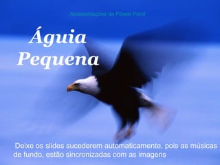 Águia
Pequena
Deixe os slides sucederem automaticamente, pois as músicas
de fundo, estão sincronizadas com as imagens
Apresentações de Power Point
 