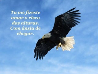 Tu me fizeste amar o risco das alturas. Com ânsia de chegar. 