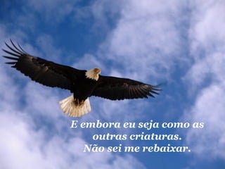 E embora eu seja como as outras criaturas. Não sei me rebaixar. 