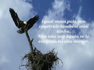 Igual meus pais vou construir também meu ninho. Mas não sou águia se lá em cima eu não morar. 