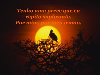 Tenho uma prece que eu repito suplicante. Por mim, por meu irmão. 