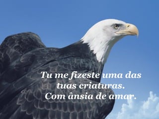 Tu me fizeste uma das tuas criaturas. Com ânsia de amar. 