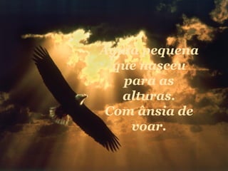 Águia pequena que nasceu para as alturas. Com ânsia de voar. 
