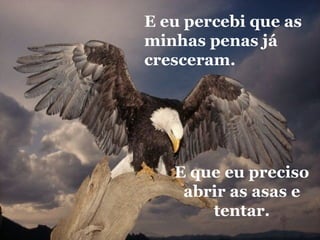 E que eu preciso abrir as asas e tentar. E eu percebi que as minhas penas já cresceram. 