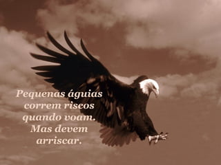 Pequenas águias correm riscos quando voam. Mas devem arriscar. 