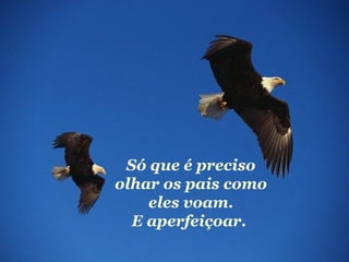 Só que é preciso olhar os pais como eles voam. E aperfeiçoar.   