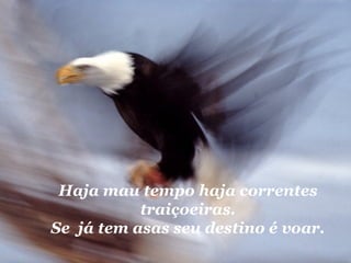 Haja mau tempo haja correntes traiçoeiras. Se  já tem asas seu destino é voar. 