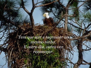 Tem que sair e regressar ao mesmo ninho. E outro dia, outra vez recomeçar. 