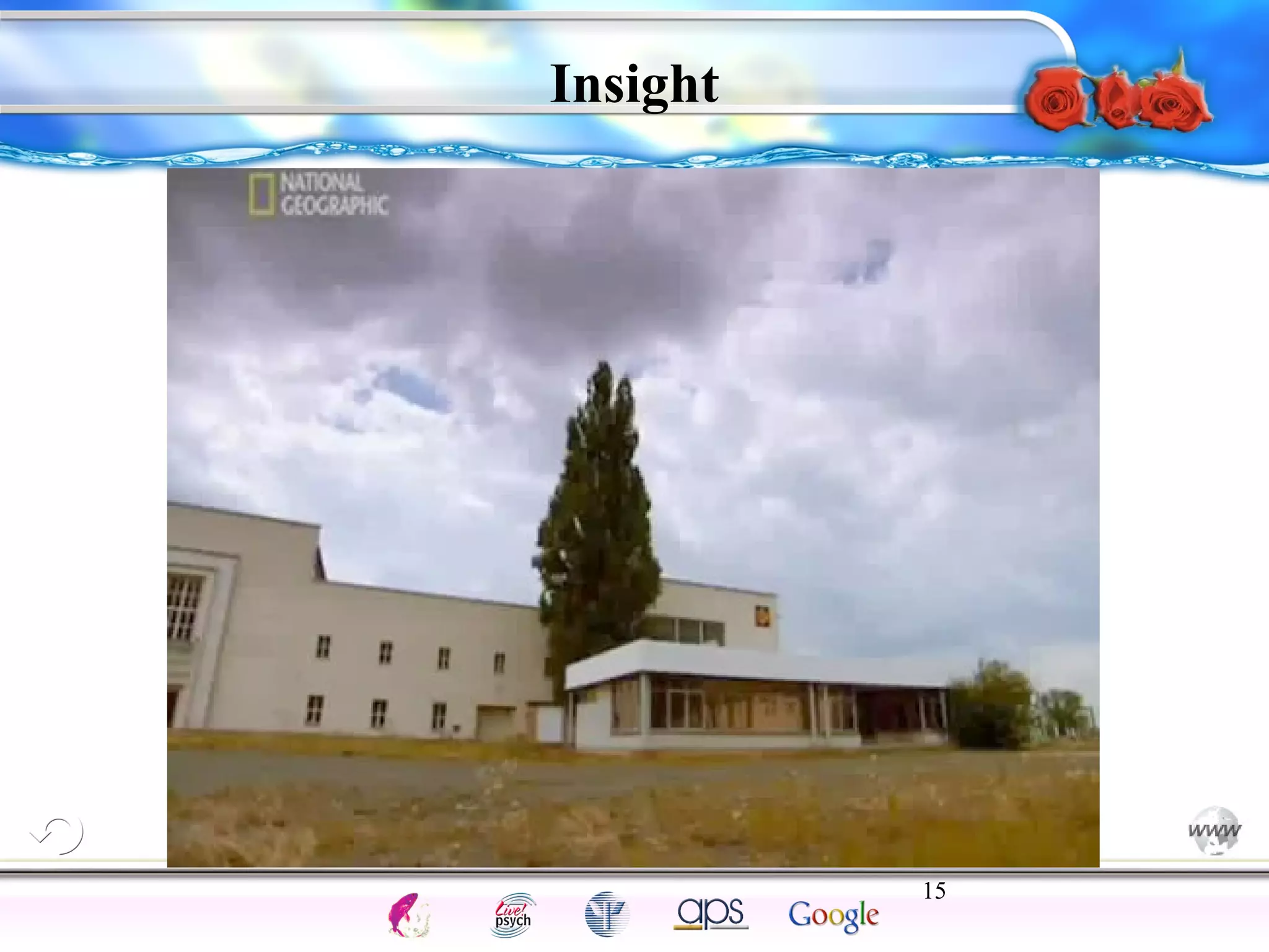 15 
Intelligence Gardner 
Insight 
Cognition Concepts Problems A.I. Creativity 
I.Q. Wechsler Bias Delay Terman Heredity 
Animal 
 