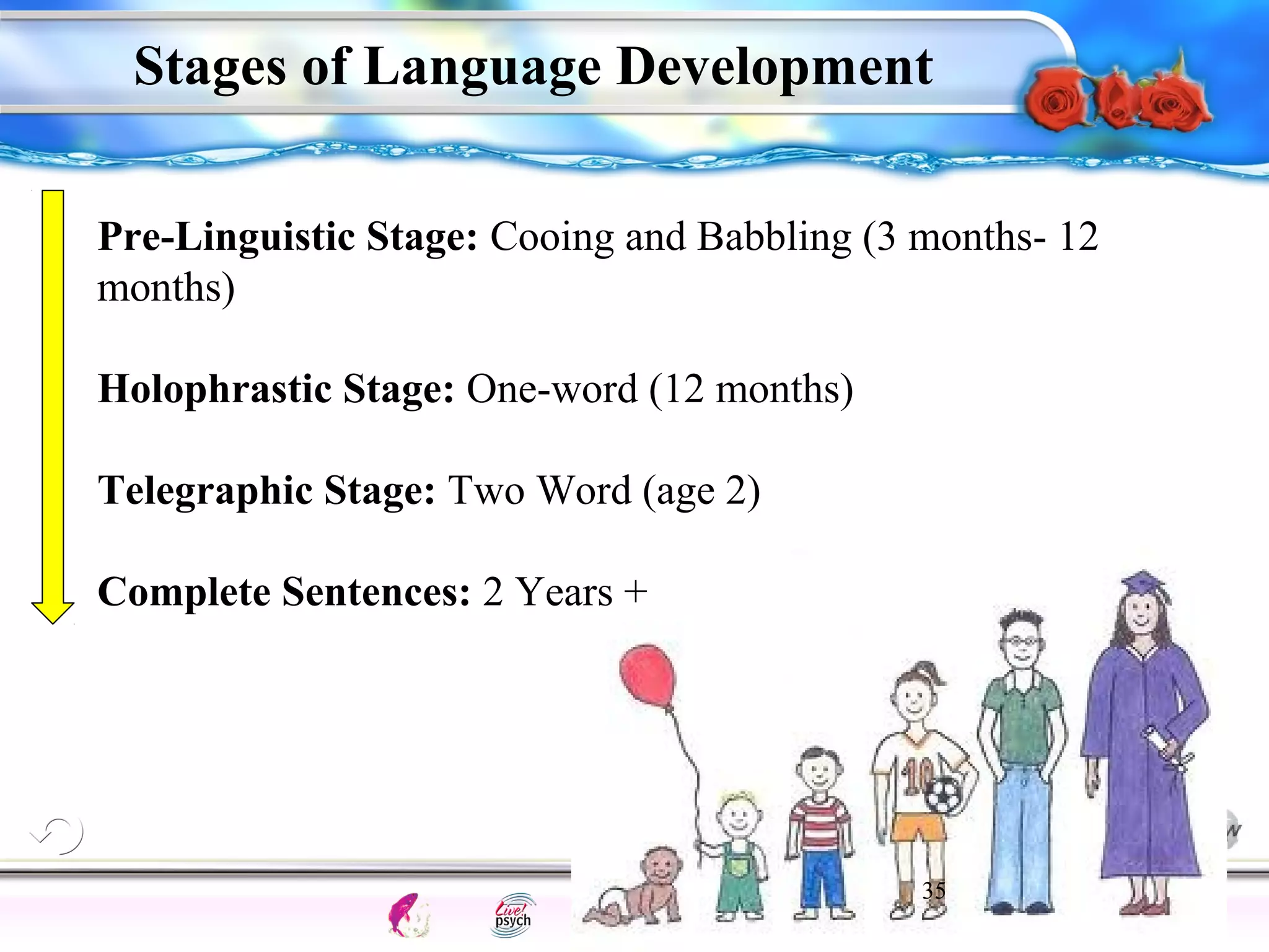 Stages of Language Development 
Pre-Linguistic Stage: Cooing and Babbling (3 months- 12 
months) 
35 
Intelligence Gardner 
Holophrastic Stage: One-word (12 months) 
Telegraphic Stage: Two Word (age 2) 
Complete Sentences: 2 Years + 
Cognition Concepts Problems A.I. Creativity 
I.Q. Wechsler Bias Delay Terman Heredity 
Animal 
 