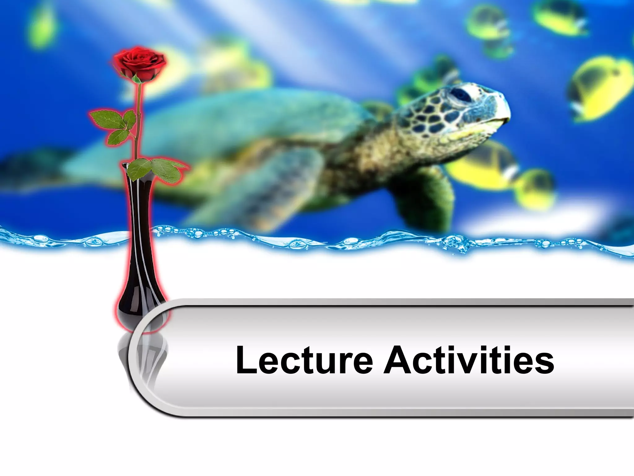 Lecture Activities 
 