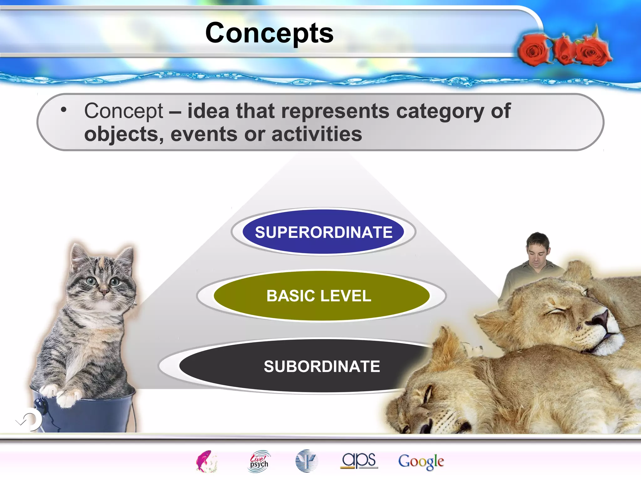 • Concept – idea that represents category of 
objects, events or activities 
Intelligence Gardner 
Concepts 
SUPERORDINATE 
BASIC LEVEL 
SUBORDINATE 
Cognition Concepts Problems A.I. Creativity 
I.Q. Wechsler Bias Delay Terman Heredity 
Animal 
 