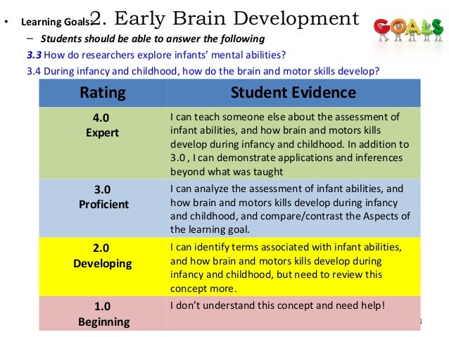 infant brain development