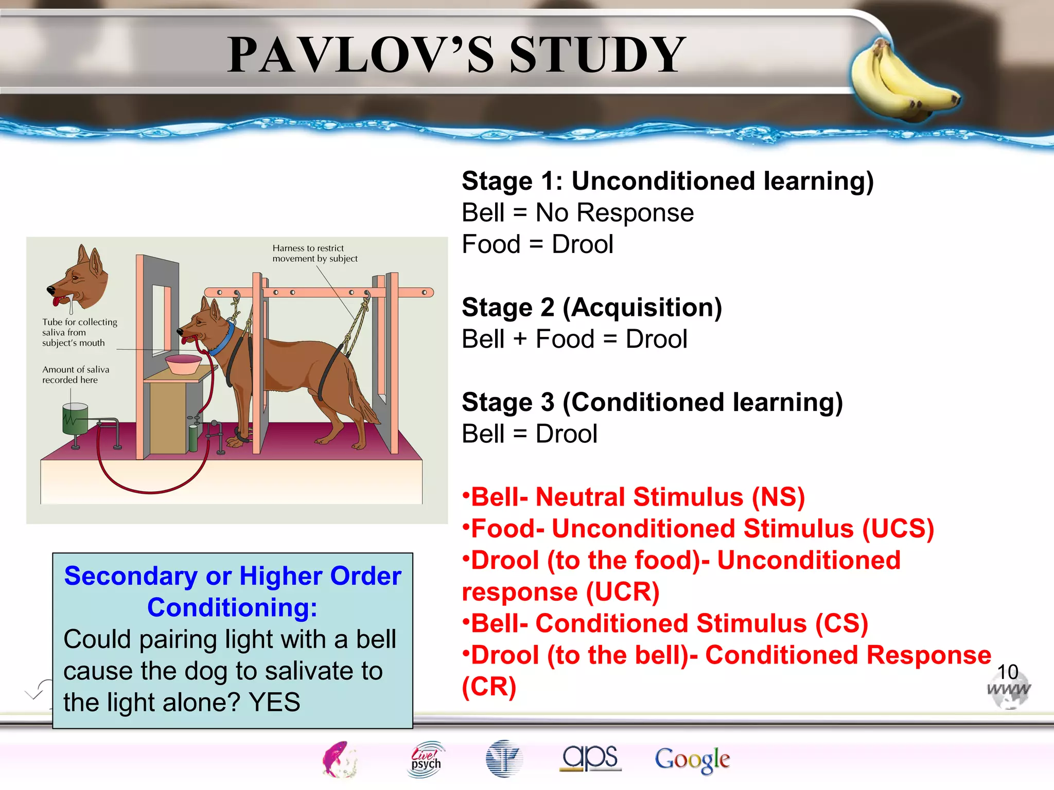ElementsControl
SchedulesPunish
ObserveInsightHelplessCognitiveModify
ReinforceOperantEmotionsClassicalLearning
PAVLOV’S STUDY
10
Secondary or Higher Order
Conditioning:
Could pairing light with a bell
cause the dog to salivate to
the light alone? YES
Stage 1: Unconditioned learning)
Bell = No Response
Food = Drool
Stage 2 (Acquisition)
Bell + Food = Drool
Stage 3 (Conditioned learning)
Bell = Drool
•Bell- Neutral Stimulus (NS)
•Food- Unconditioned Stimulus (UCS)
•Drool (to the food)- Unconditioned
response (UCR)
•Bell- Conditioned Stimulus (CS)
•Drool (to the bell)- Conditioned Response
(CR)
 