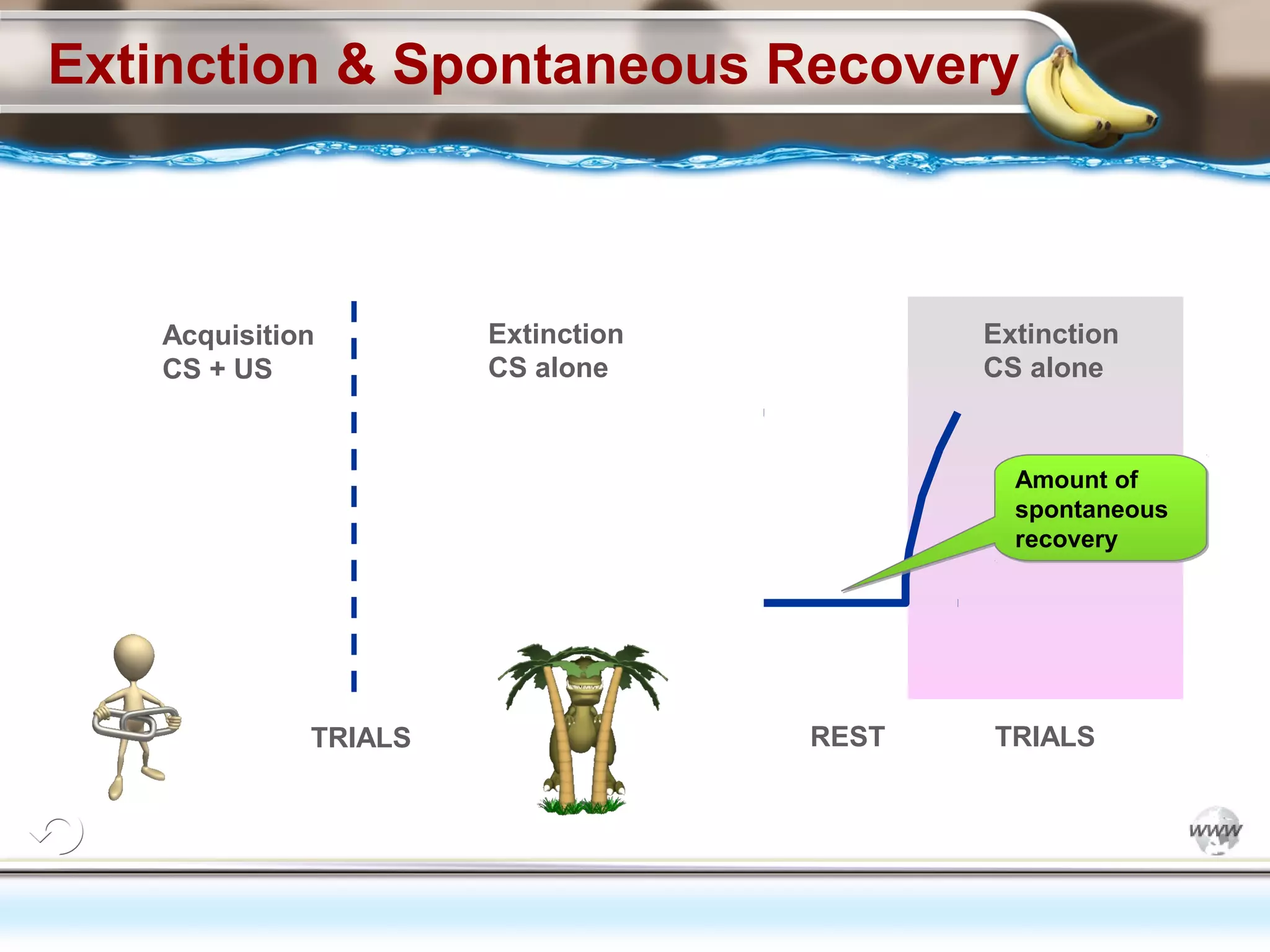 ElementsControl
SchedulesPunish
ObserveInsightHelplessCognitiveModify
ReinforceOperantEmotionsClassicalLearning
Extinction & Spontaneous Recovery
Acquisition
CS + US
Extinction
CS alone
TRIALS
Extinction
CS alone
Amount of
spontaneous
recovery
Amount of
spontaneous
recovery
REST TRIALS
 
