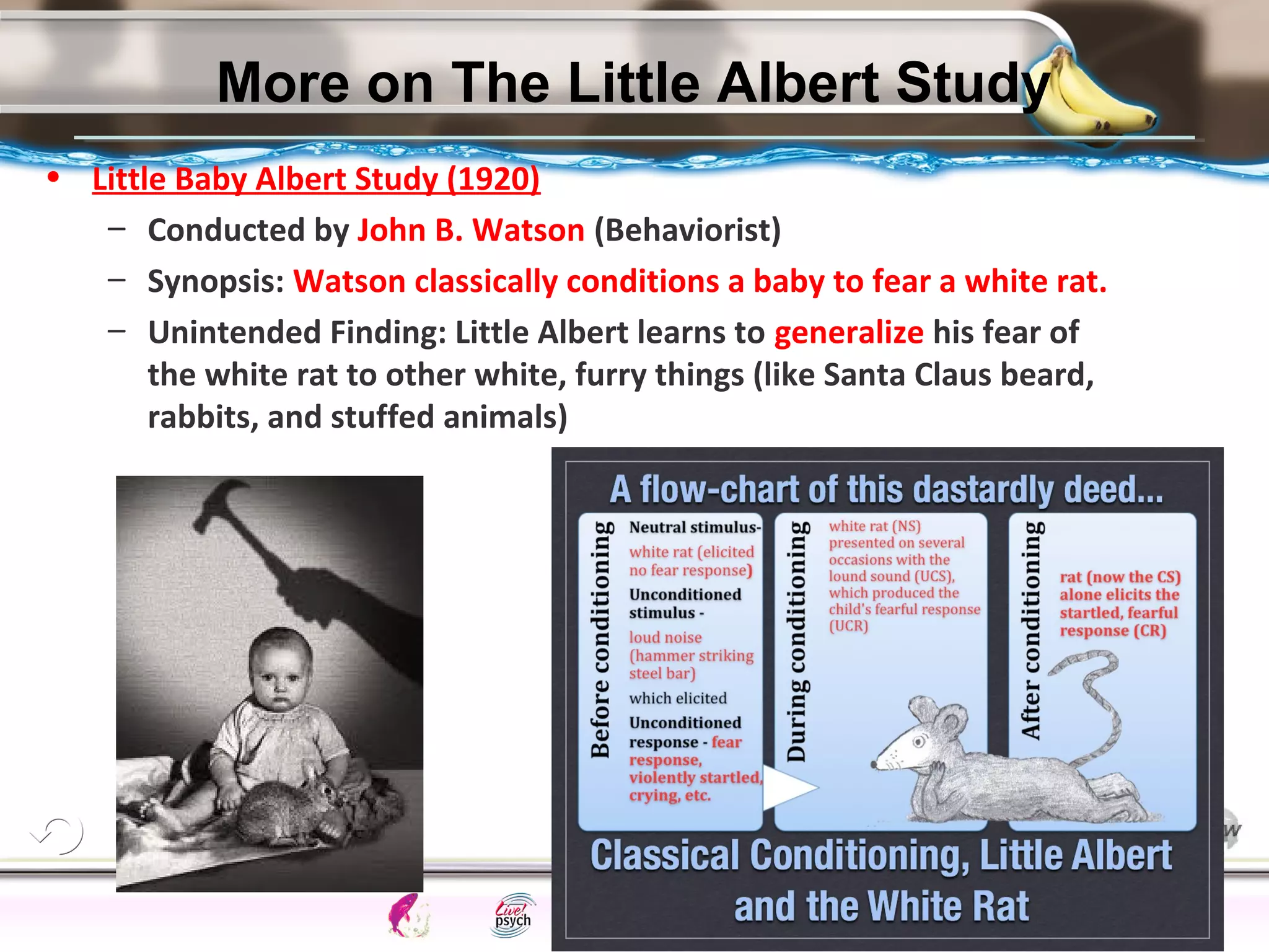 ElementsControl
SchedulesPunish
ObserveInsightHelplessCognitiveModify
ReinforceOperantEmotionsClassicalLearning
• Little Baby Albert Study (1920)
– Conducted by John B. Watson (Behaviorist)
– Synopsis: Watson classically conditions a baby to fear a white rat.
– Unintended Finding: Little Albert learns to generalize his fear of
the white rat to other white, furry things (like Santa Claus beard,
rabbits, and stuffed animals)
27
More on The Little Albert Study
 