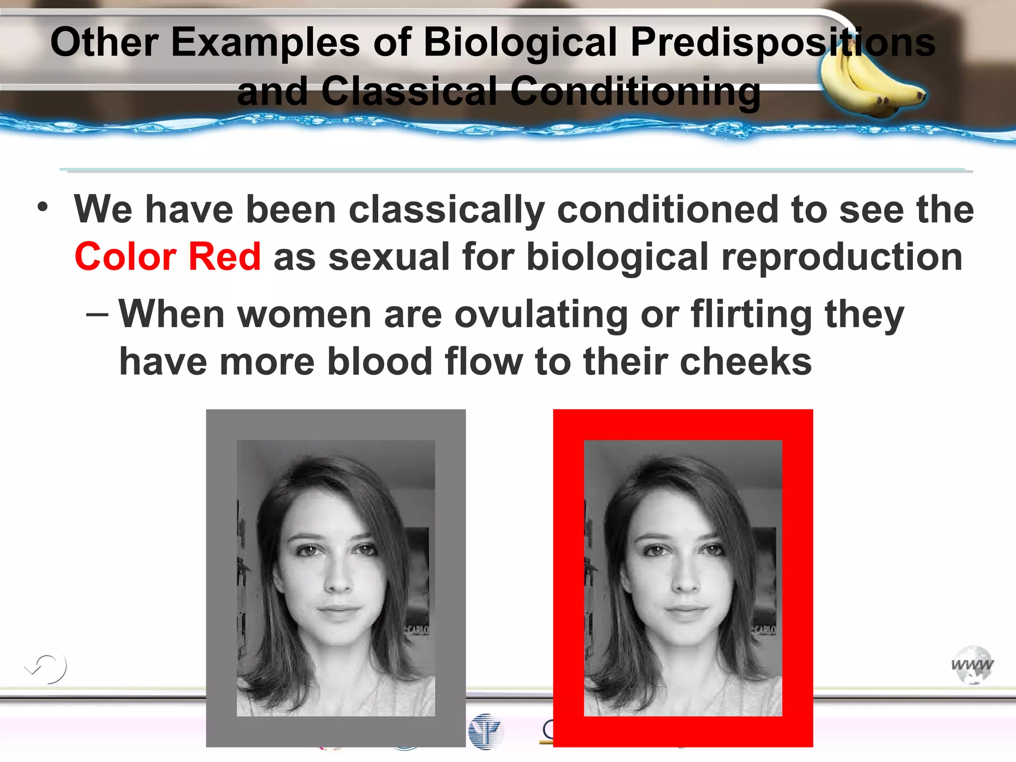 ElementsControl
SchedulesPunish
ObserveInsightHelplessCognitiveModify
ReinforceOperantEmotionsClassicalLearning
Other Examples of Biological Predispositions
and Classical Conditioning
• We have been classically conditioned to see the
Color Red as sexual for biological reproduction
– When women are ovulating or flirting they
have more blood flow to their cheeks
28
 