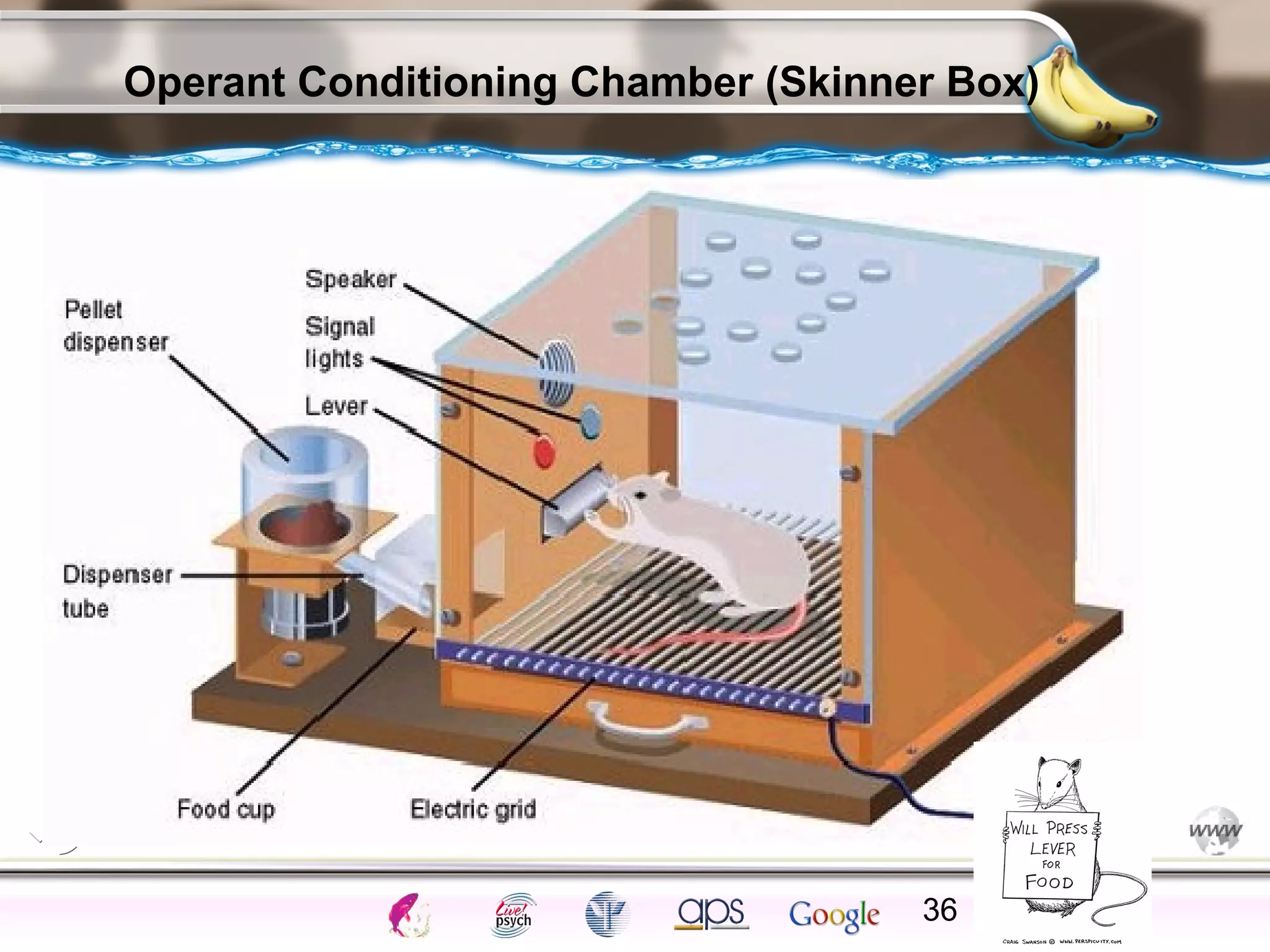ElementsControl
SchedulesPunish
ObserveInsightHelplessCognitiveModify
ReinforceOperantEmotionsClassicalLearning
Operant Conditioning Chamber (Skinner Box)
36
 