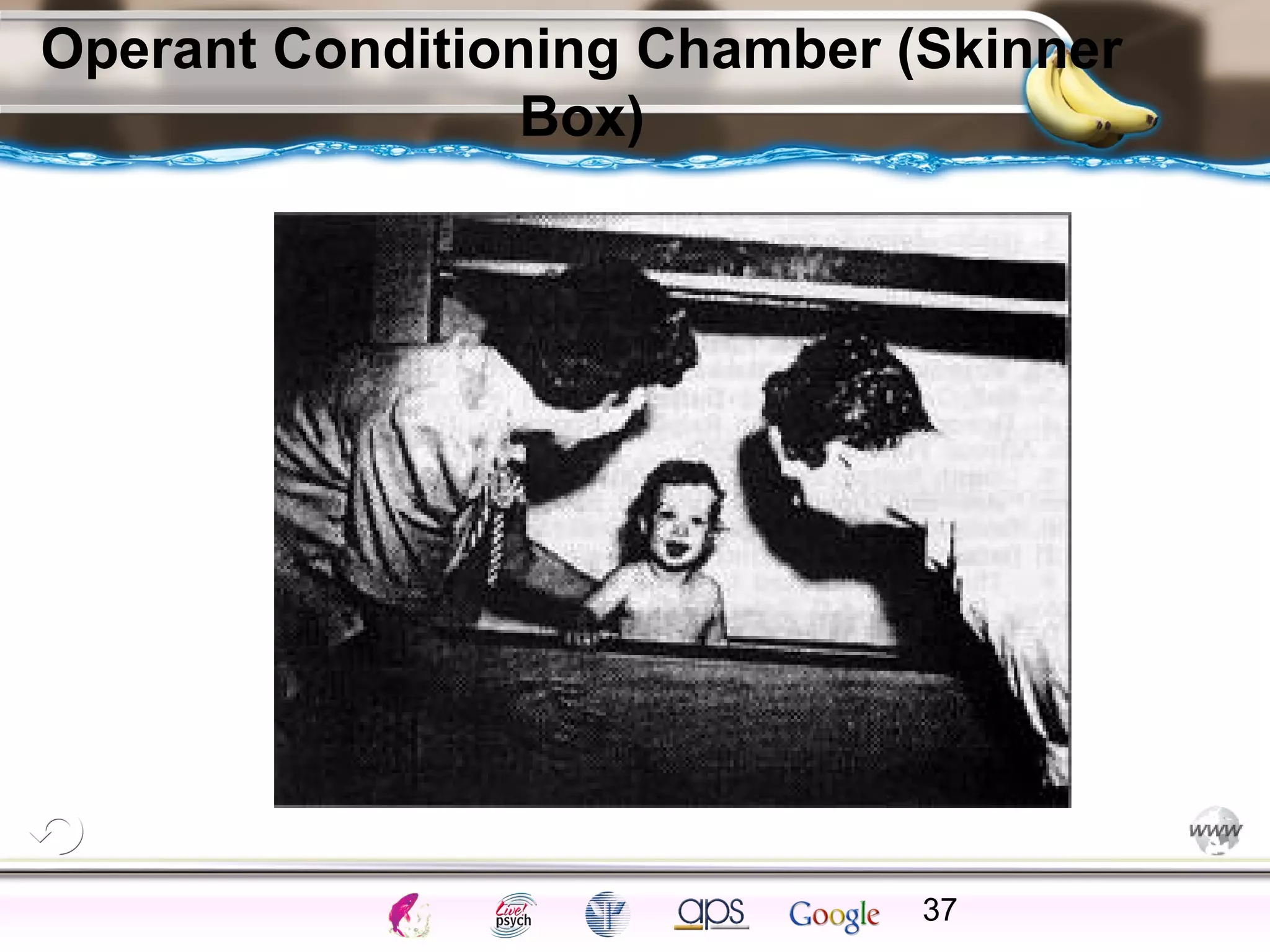 ElementsControl
SchedulesPunish
ObserveInsightHelplessCognitiveModify
ReinforceOperantEmotionsClassicalLearning
Operant Conditioning Chamber (Skinner
Box)
37
 