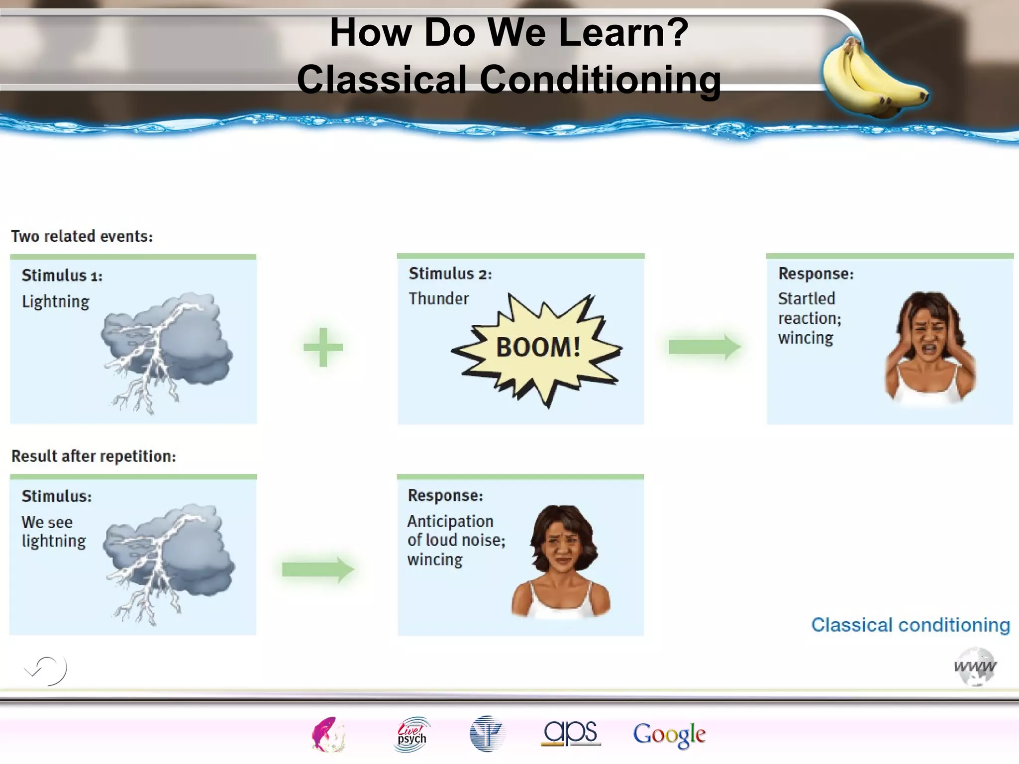 ElementsControl
SchedulesPunish
ObserveInsightHelplessCognitiveModify
ReinforceOperantEmotionsClassicalLearning
How Do We Learn?
Classical Conditioning
 