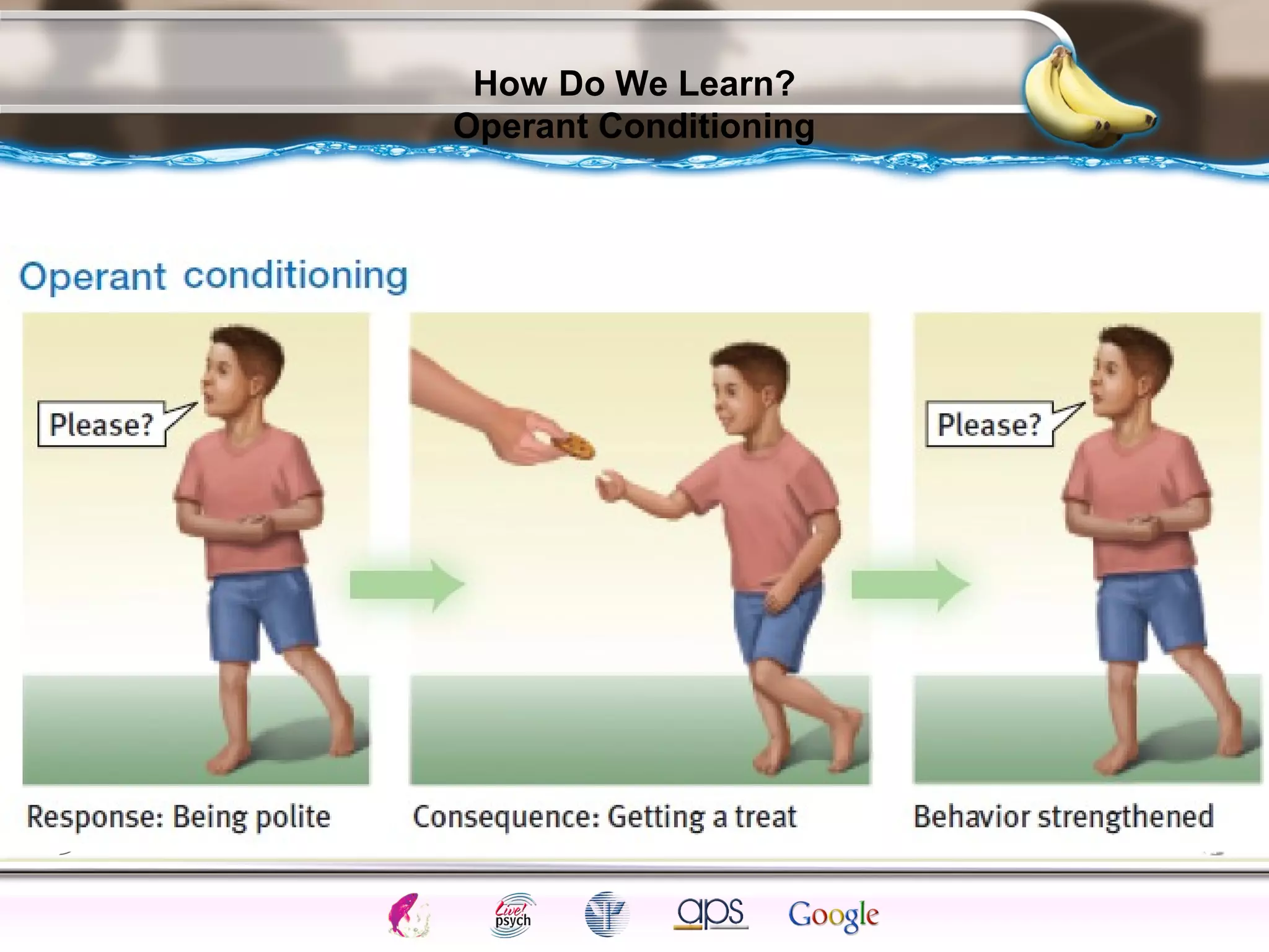 ElementsControl
SchedulesPunish
ObserveInsightHelplessCognitiveModify
ReinforceOperantEmotionsClassicalLearning
How Do We Learn?
Operant Conditioning
 