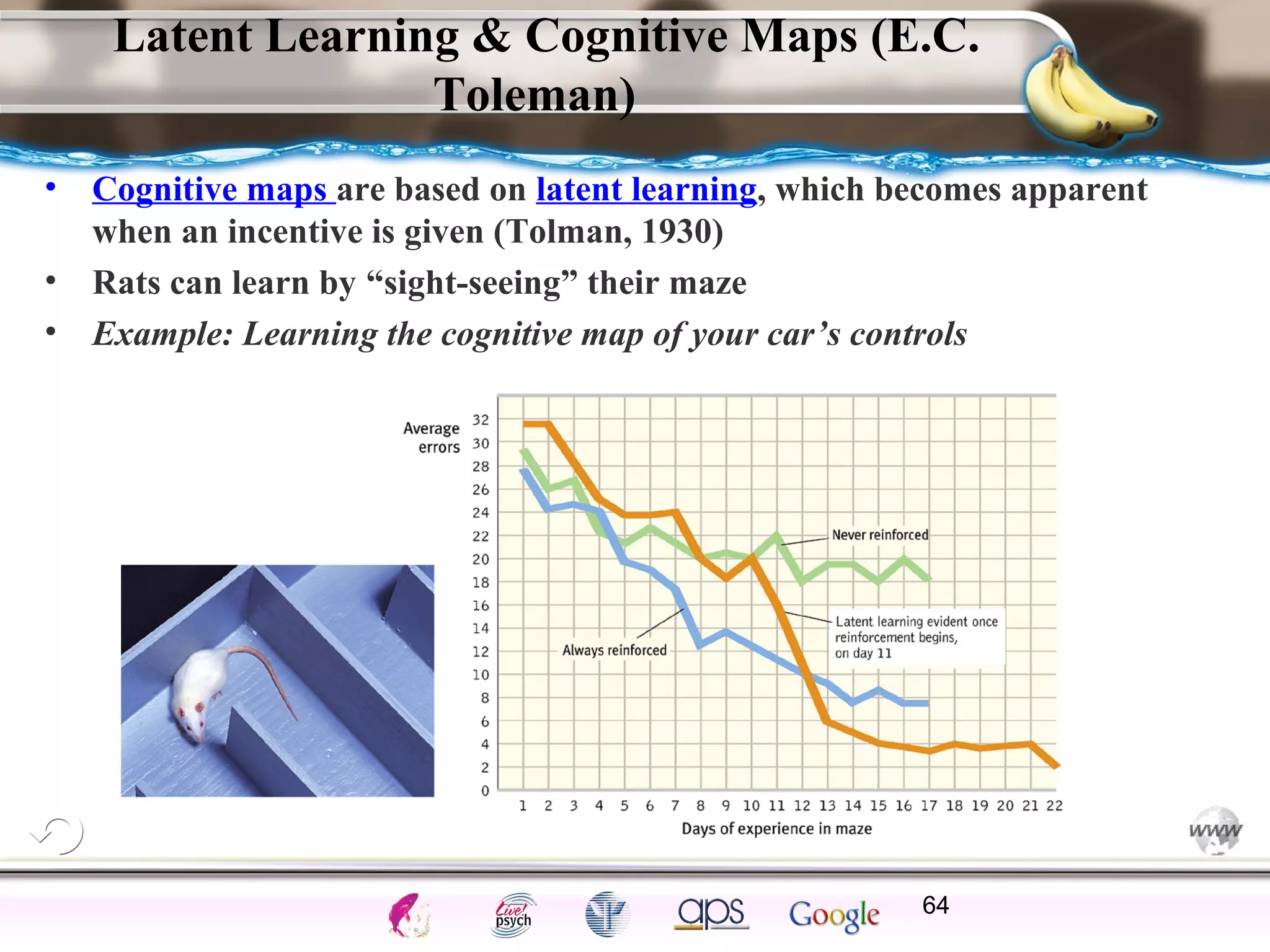 ElementsControl
SchedulesPunish
ObserveInsightHelplessCognitiveModify
ReinforceOperantEmotionsClassicalLearning
Latent Learning & Cognitive Maps (E.C.
Toleman)
• Cognitive maps are based on latent learning, which becomes apparent
when an incentive is given (Tolman, 1930)
• Rats can learn by “sight-seeing” their maze
• Example: Learning the cognitive map of your car’s controls
64
 