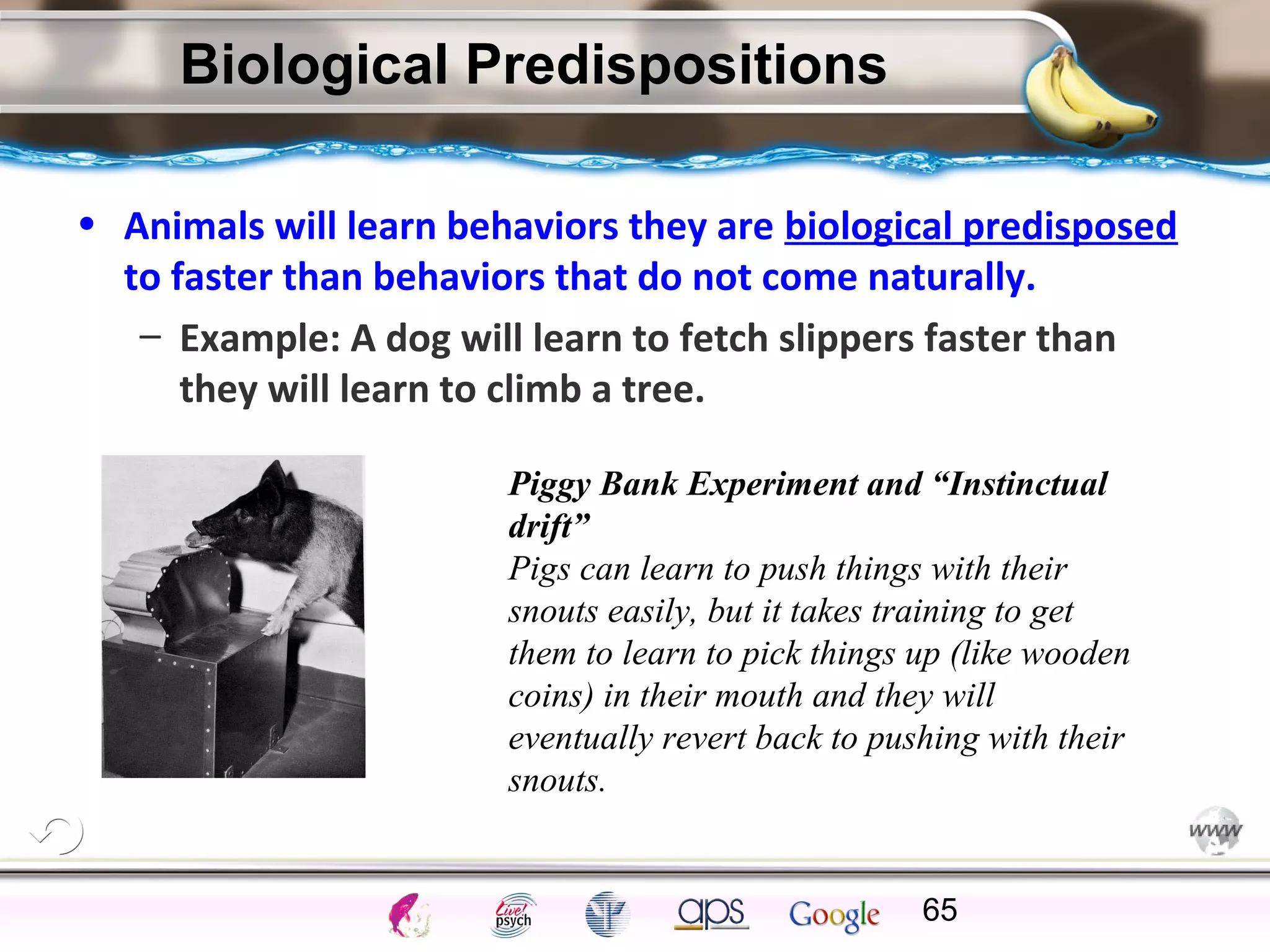 ElementsControl
SchedulesPunish
ObserveInsightHelplessCognitiveModify
ReinforceOperantEmotionsClassicalLearning
Biological Predispositions
• Animals will learn behaviors they are biological predisposed
to faster than behaviors that do not come naturally.
– Example: A dog will learn to fetch slippers faster than
they will learn to climb a tree.
65
Piggy Bank Experiment and “Instinctual
drift”
Pigs can learn to push things with their
snouts easily, but it takes training to get
them to learn to pick things up (like wooden
coins) in their mouth and they will
eventually revert back to pushing with their
snouts.
 